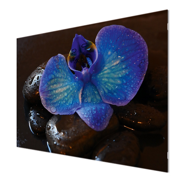 Glasbildheizung Motiv 004 Orchidee