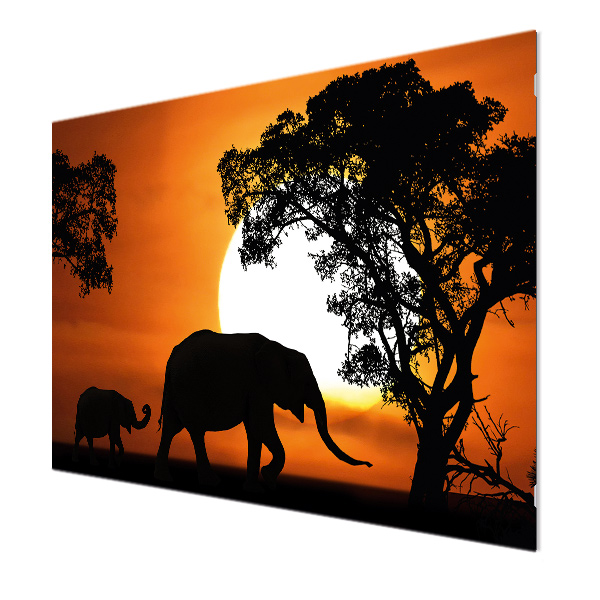 Glasbildheizung Motiv 011 Elefanten